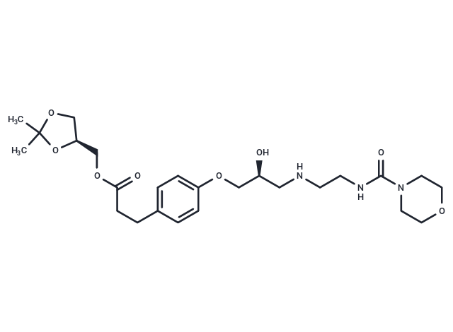 化合物 Landiolol|T5028L|TargetMol