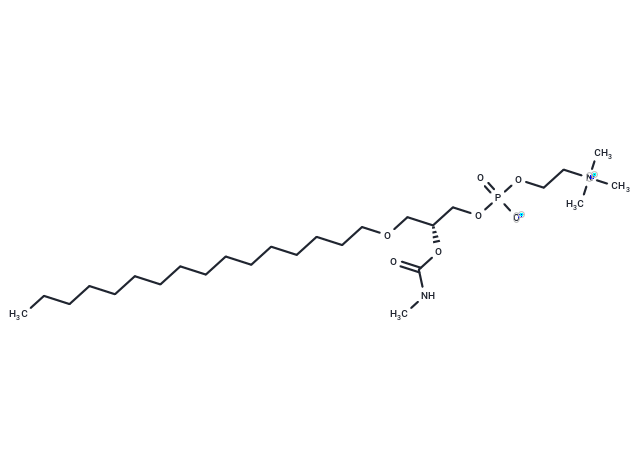 Methylcarbamyl PAF C-16|T36205|TargetMol