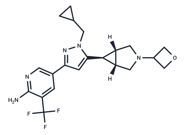 化合物 GNE-8505|T11440|TargetMol