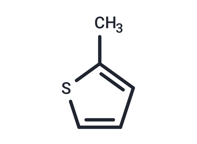 化合物 2-Methylthiophene|T67449|TargetMol