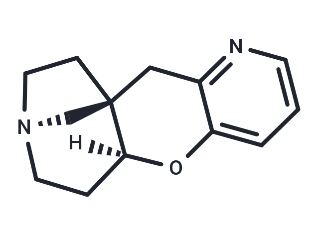 化合物 Dianicline dihydrochloride|T15112|TargetMol