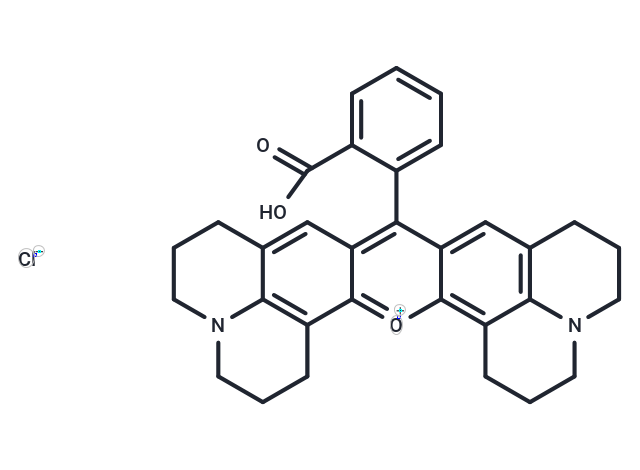 化合物 Rhodamine 101 chloride|T19053|TargetMol