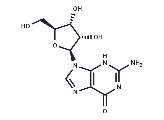 化合物 L-Guanosine|T60545|TargetMol