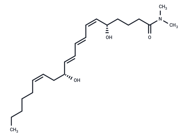 Leukotriene B4 dimethyl amide|T37618|TargetMol