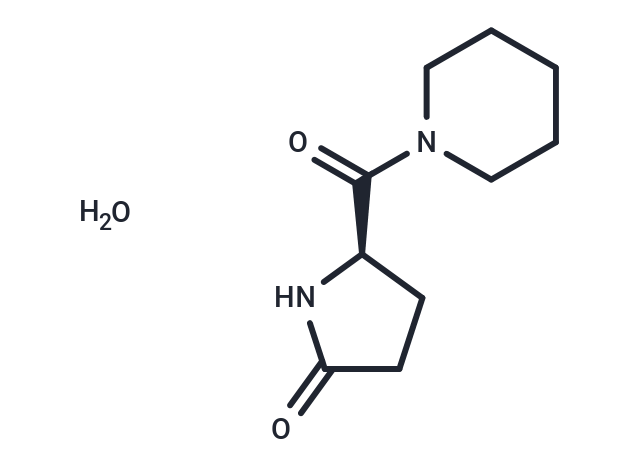 化合物 Fasoracetam monohydrate|T69954|TargetMol