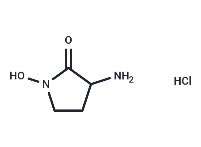 化合物 HA-966 HCl|T69263|TargetMol