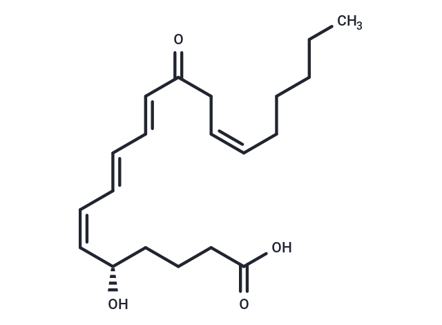 12-oxo Leukotriene B4|T37256|TargetMol