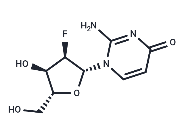 化合物 2’-Deoxy-2’-fluoroisocytidine|TNU0715|TargetMol