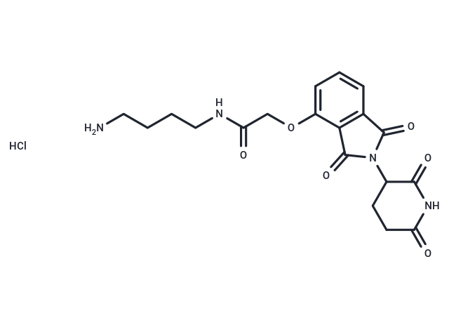 化合物 Thalidomide-O-amido-C4-NH2 hydrochloride|T18815|TargetMol