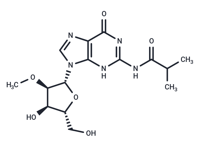 化合物 2’-O-Methyl-N2-isobutyroylguanosine|TNU0941|TargetMol