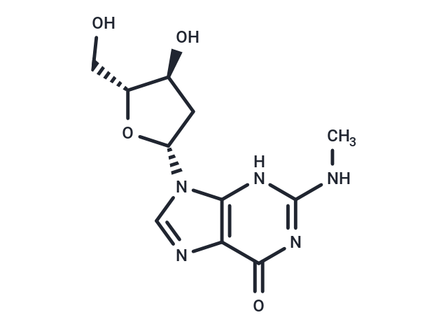 化合物 2’-Deoxy-N2-methylguanosine|TNU1167|TargetMol