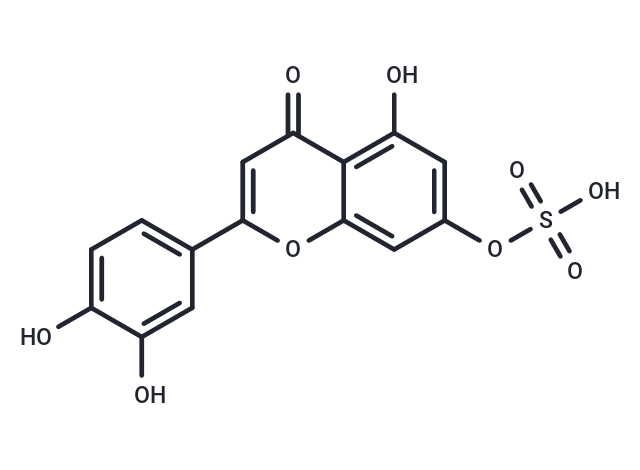 木犀草素-7-硫酸酯|T13762|TargetMol