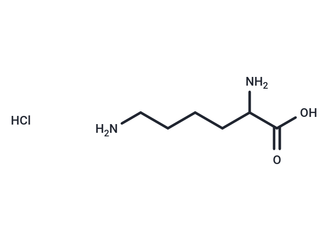 化合物 H-DL-Lys-OH.HCl|T66826|TargetMol