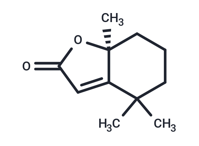 化合物 (±)-Dihydroactinidiolide|T64891|TargetMol