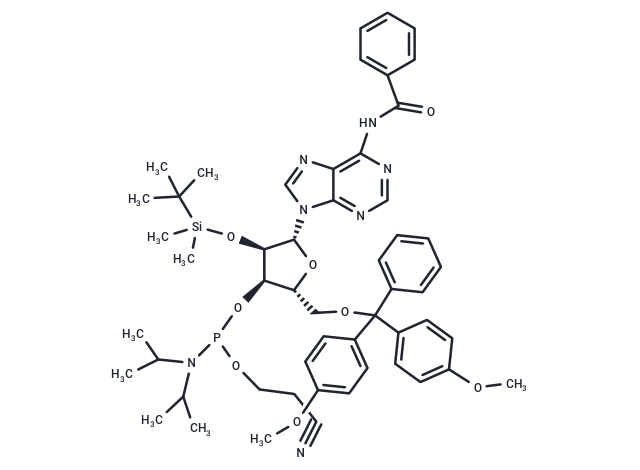 Bz-rA Phosphoramidite|T37107|TargetMol