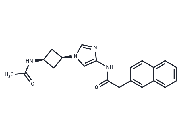 GSK-3/CDK5/CDK2-IN-1|T35555|TargetMol