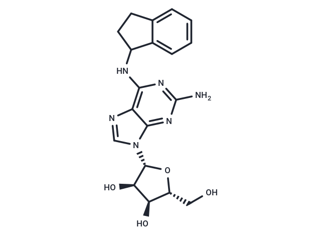 化合物 (R)-N-(2,3-Dihydro-1H-indenyl)guanosine|TNU0024|TargetMol