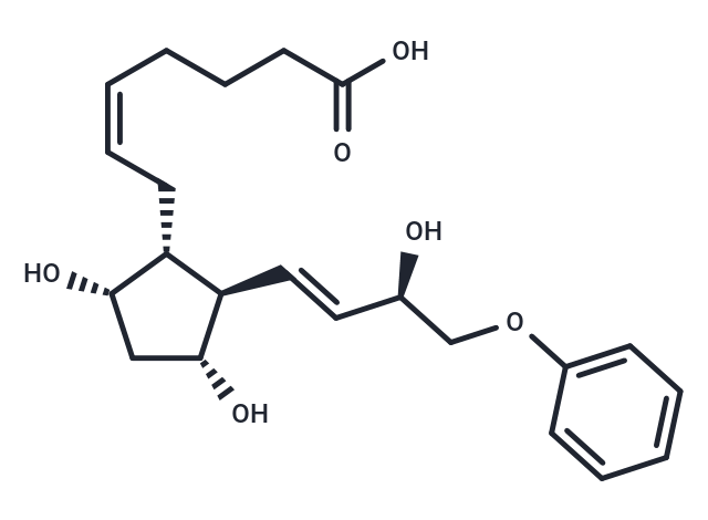 16-phenoxy tetranor Prostaglandin F2α|T37995|TargetMol