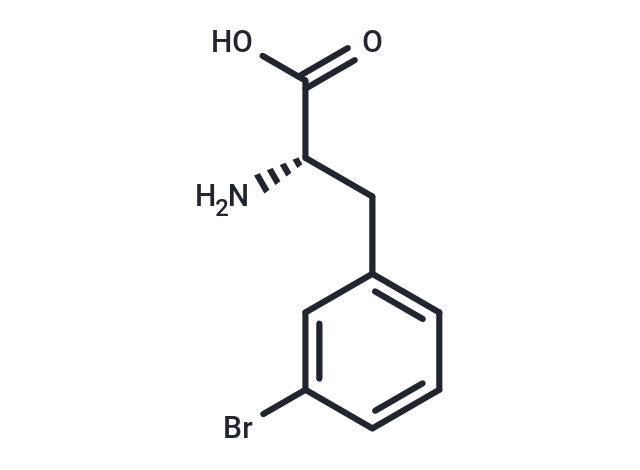 化合物 (S)-2-Amino-3-(3-bromophenyl)propanoic acid|T65916|TargetMol