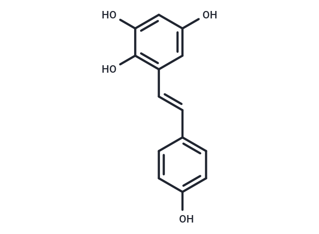 化合物 MAO-A inhibitor 1|T86857|TargetMol