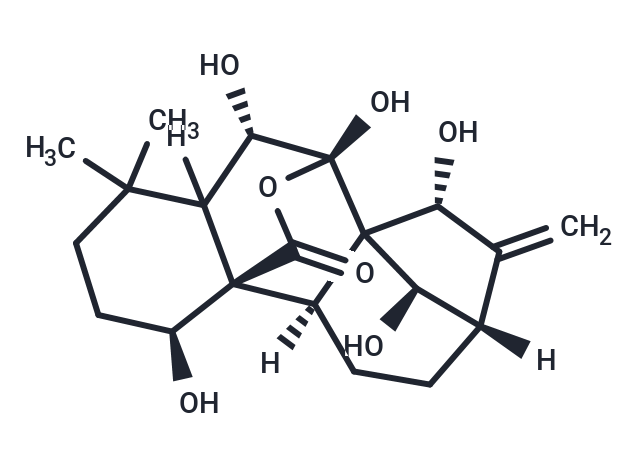 化合物 Rabdoternin B|T26031|TargetMol