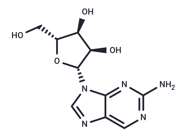 化合物 2-Amino purine riboside; 2-amino-9-(beta-D-ribo-furanosyl)-9H-purine|TNU0053|TargetMol