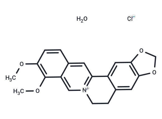 化合物 Berberine chloride (hydrate)|T4520|TargetMol