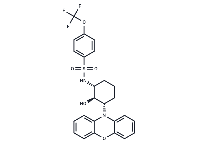 化合物 DT-061|T10060L|TargetMol