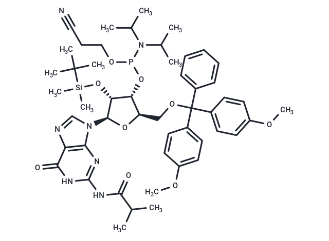 化合物 I-bu-rG Phosphoramidite|T66055|TargetMol