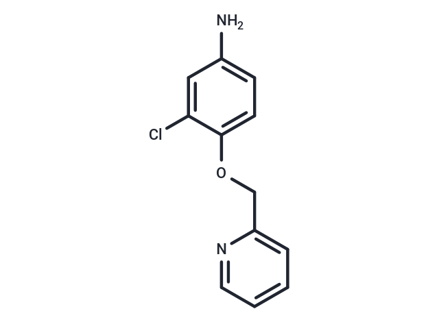 化合物 3-Chloro-4-(pyridin-2-ylmethoxy)aniline|T65625|TargetMol