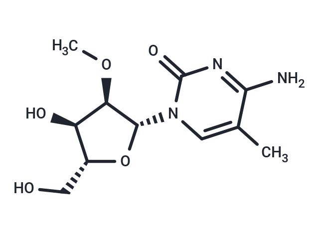 化合物 2’-O-Methyl-5-methylcytidine|TNU0124|TargetMol