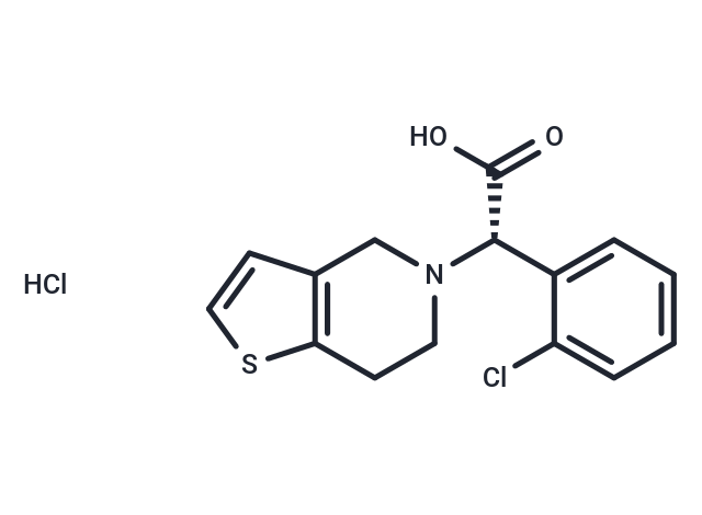 Clopidogrel Carboxylic Acid (hydrochloride)|T36112|TargetMol