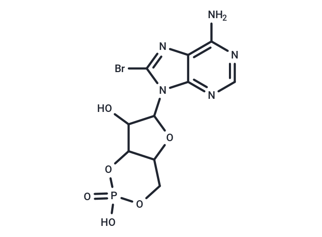 8-bromo-Cyclic AMP|T35424|TargetMol