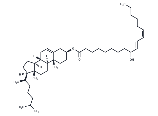 (±)9-HODE cholesteryl ester|T35405|TargetMol