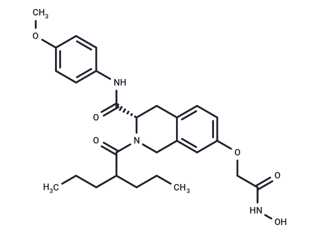 化合物 ZYJ-34v|T26356|TargetMol