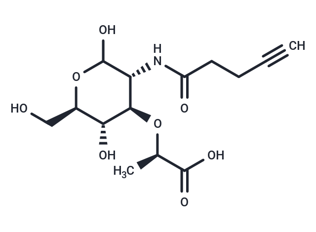 Click N-Acetylmuramic acid - alkyne|T38301|TargetMol