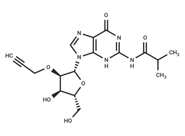 化合物 N2-iso-Butyroyl-2’-O-propargylguanosine|TNU0938|TargetMol