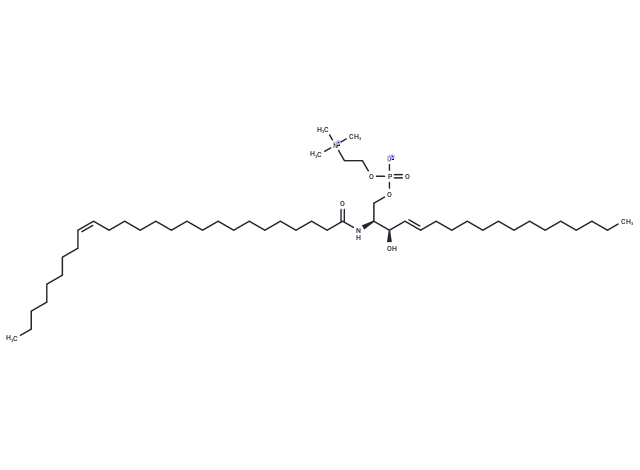 化合物 C26:1 Sphingomyelin (d18:1/26:1(17Z))|T85027|TargetMol