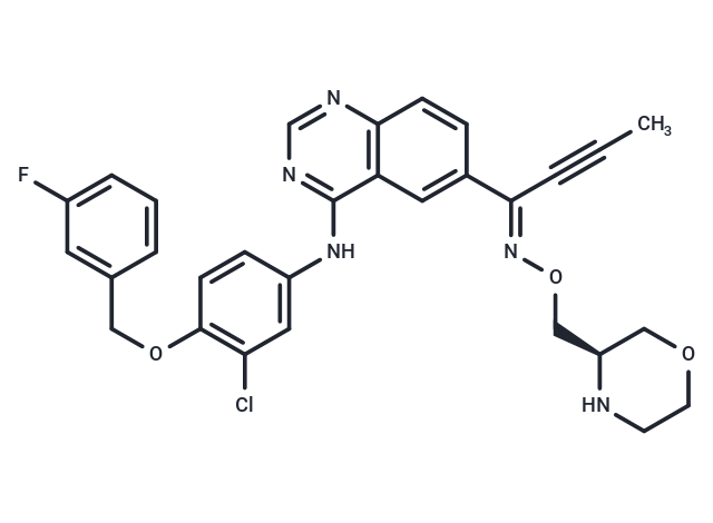 化合物 Epertinib|T11213L|TargetMol