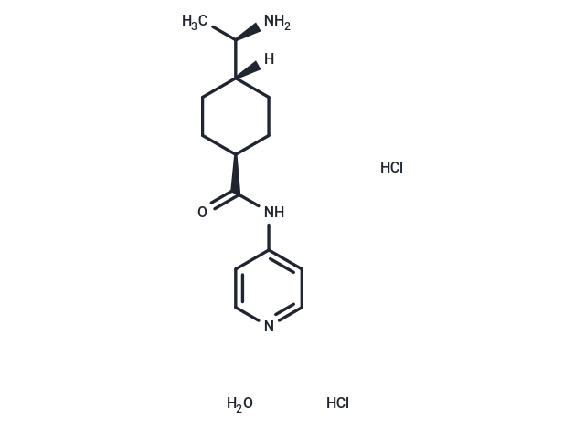 化合物 Y27632 HCl hydrate|T69429|TargetMol