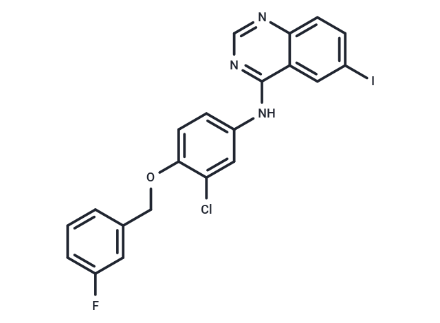 化合物 N-(3-Chloro-4-((3-fluorobenzyl)oxy)phenyl)-6-iodoquinazolin-4-amine|T65343|TargetMol