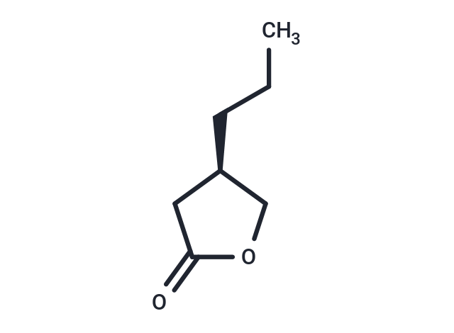 化合物 (R)-4-Propyldihydrofuran-2(3H)-one|T67182|TargetMol