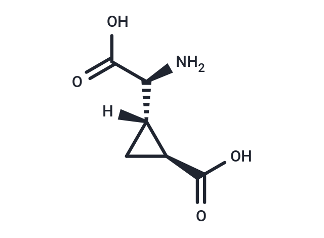 化合物 L-CCG-l|T22912|TargetMol