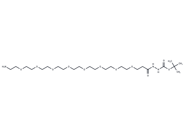 化合物 Amino-PEG8-hydrazide-Boc|T14252|TargetMol