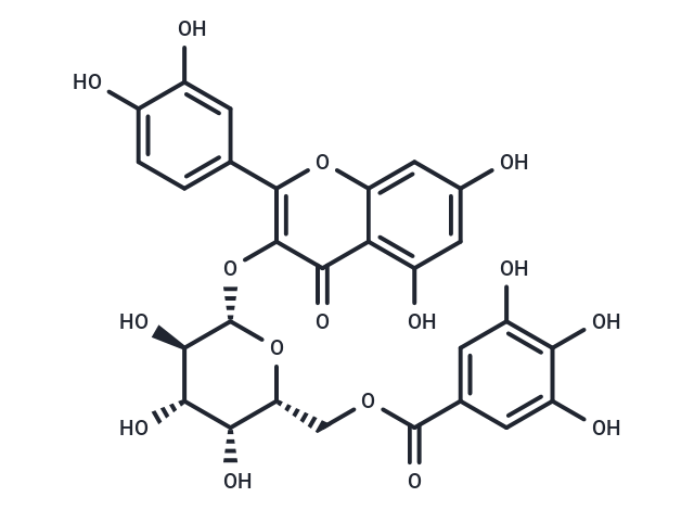 槲皮素3-O-(6''-没食子酰基)-Β-D-半乳糖苷|TN2123|TargetMol