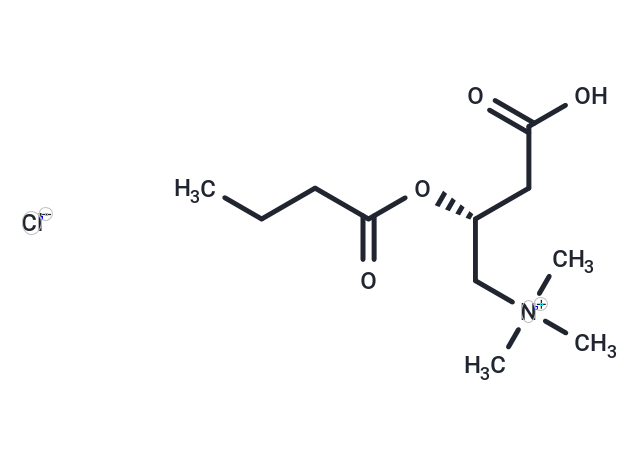 Butyryl-L-carnitine (chloride)|T37453|TargetMol