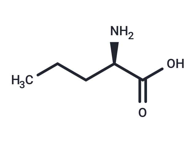 化合物 D(-)-Norvaline|T64916|TargetMol