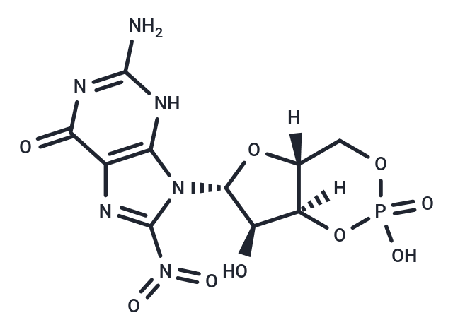 化合物 8-Nitro-cGMP|T68374|TargetMol