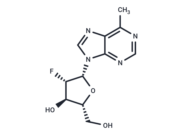 化合物 6-Methylpurine-2’-deoxy-2’-fluoro-beta-D-arabinoriboside|TNU0028|TargetMol