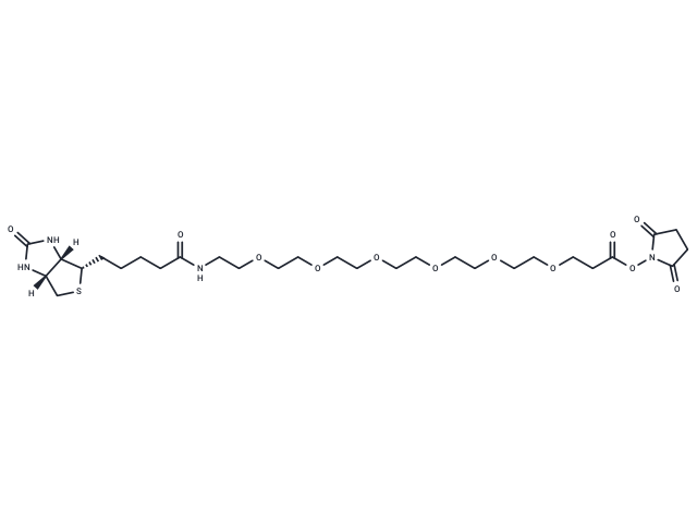 化合物 Biotin-PEG6-NHS ester|T14609|TargetMol